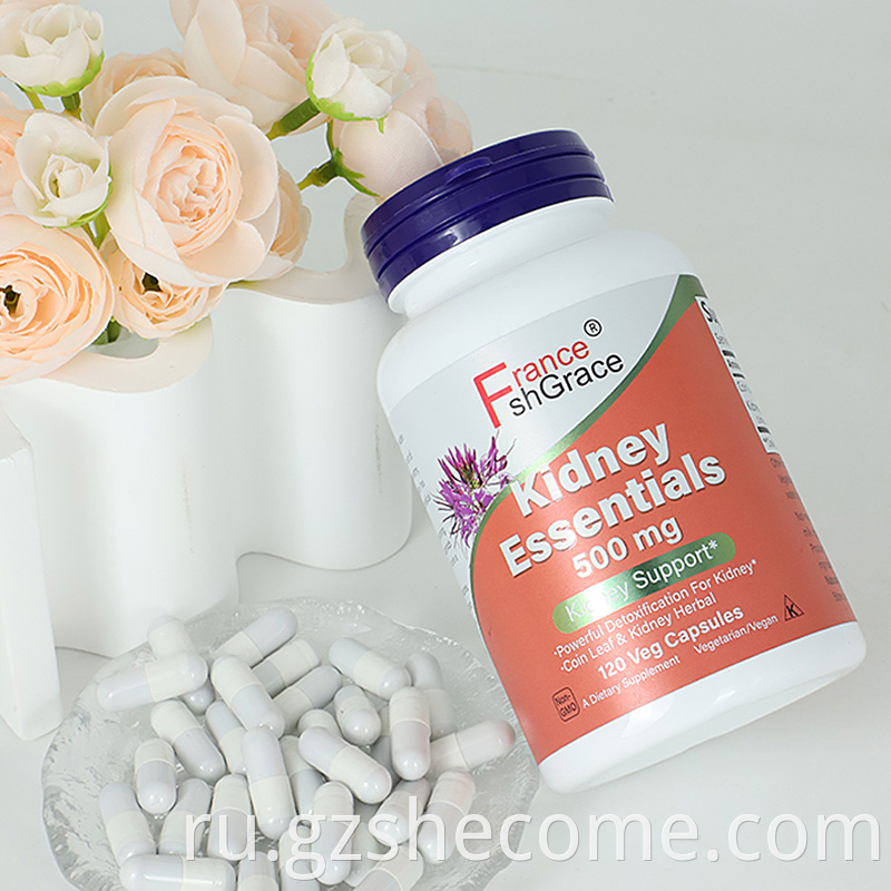 Kidney essentials